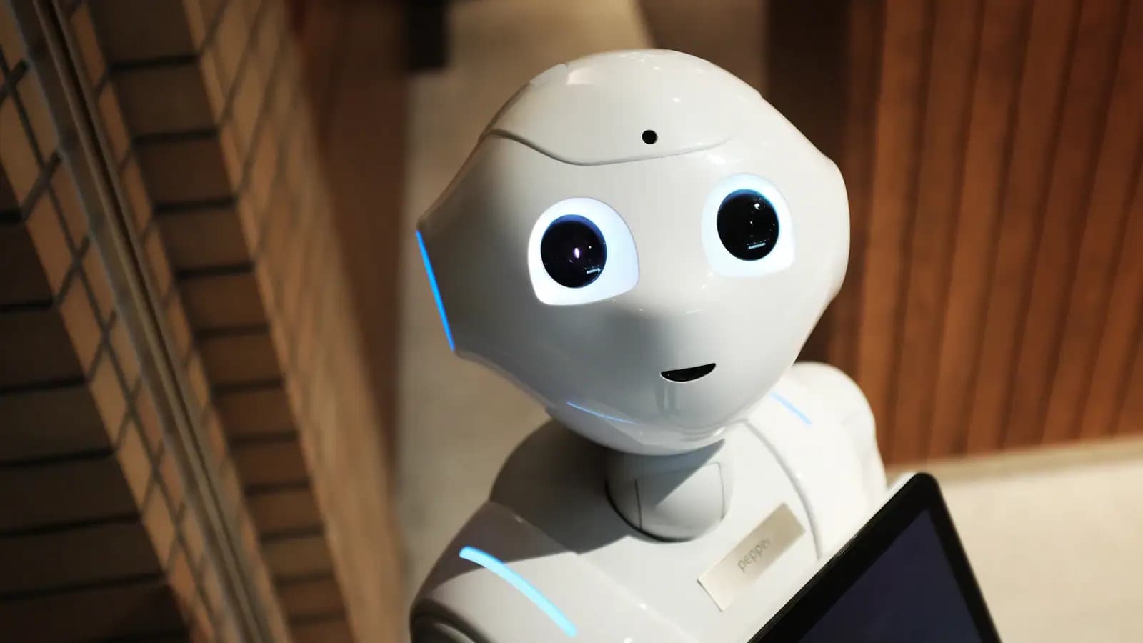 Chatbot Development in Saudi Arabia